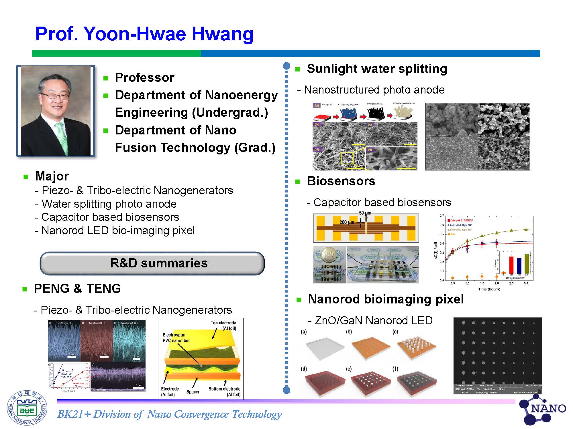 Hwang, Yoon-Hwae Nanoenergy Department_research fields_페이지_2.jpg